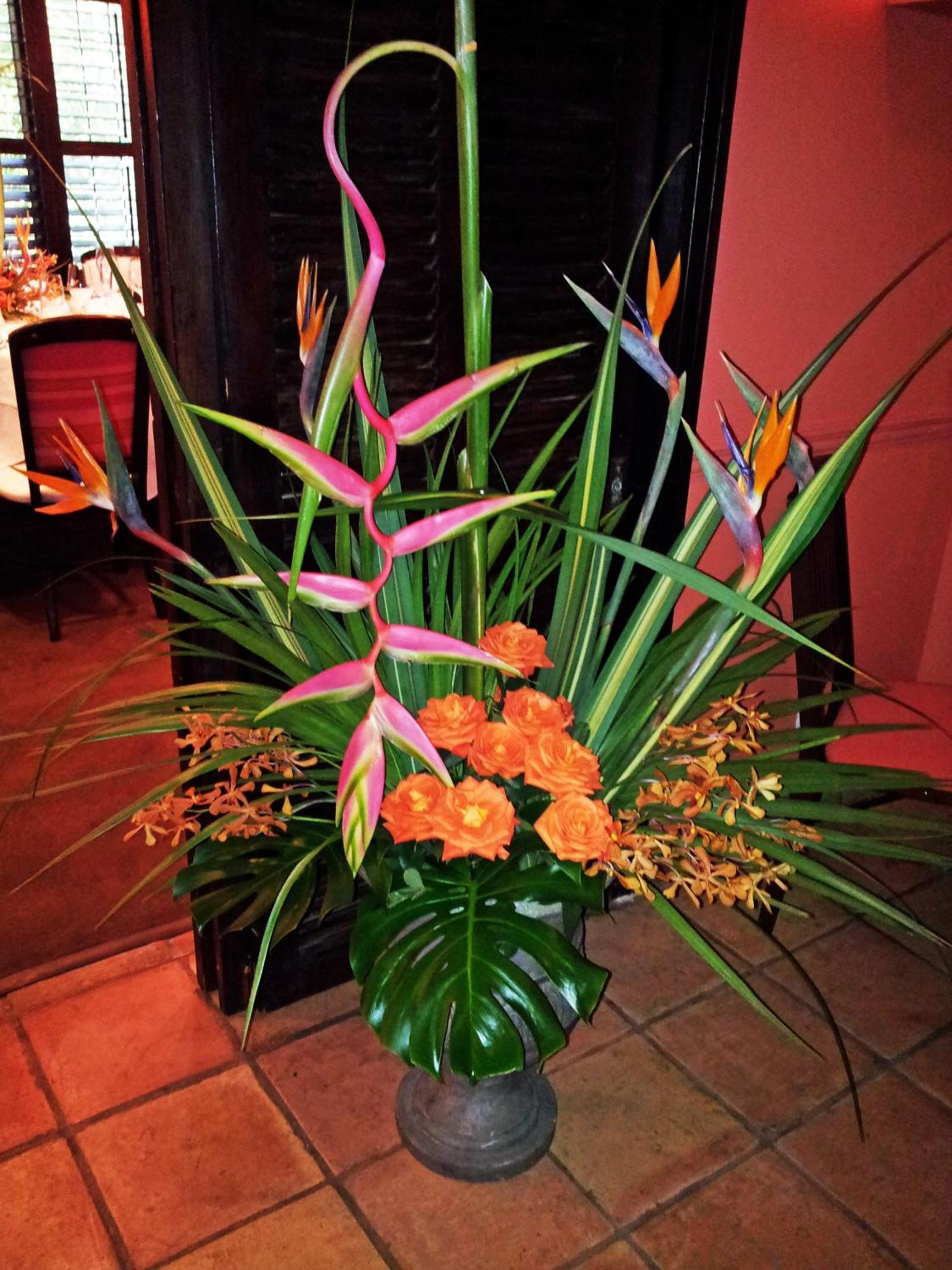 The Caribbean Court Boutique Hotel Vero Beach Oda fotoğraf