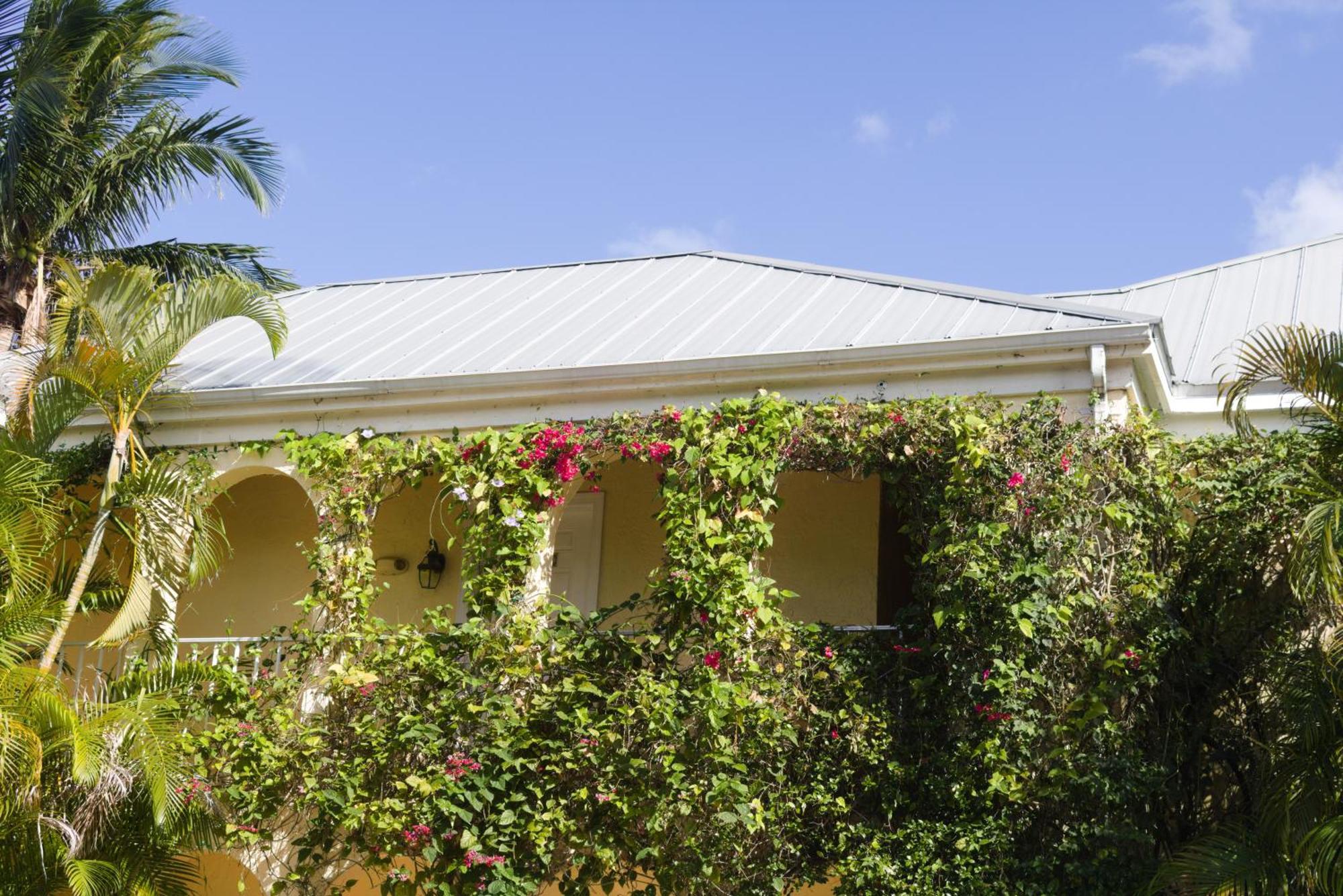 The Caribbean Court Boutique Hotel Vero Beach Dış mekan fotoğraf